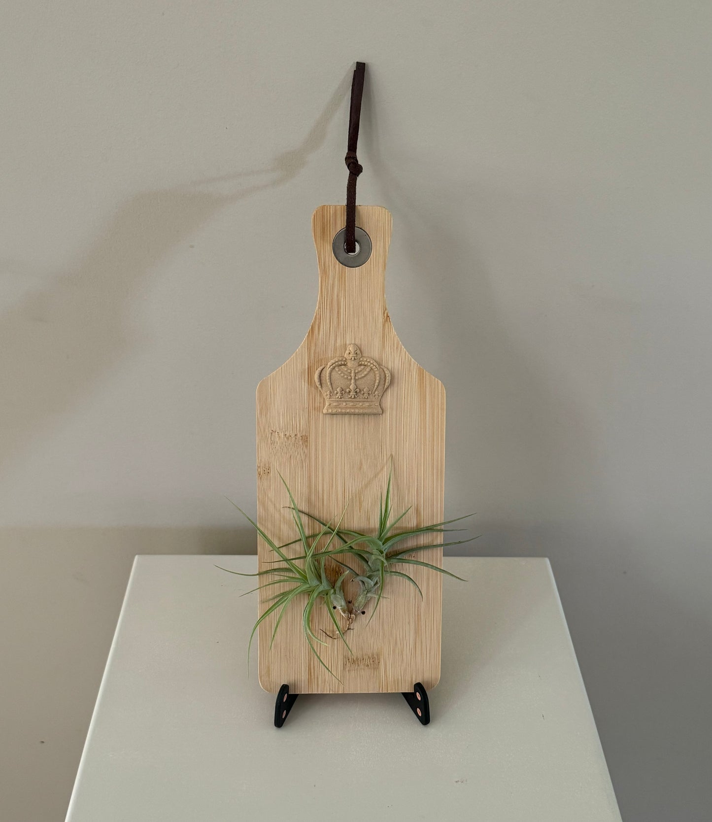 Airplant and crown