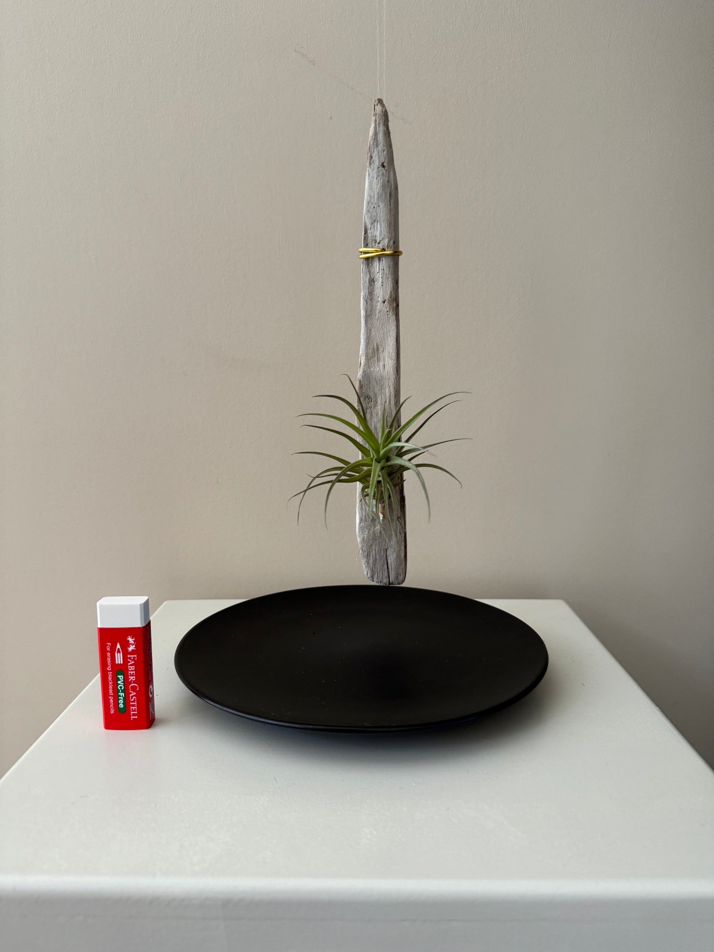 Driftwood & Air Plant 7