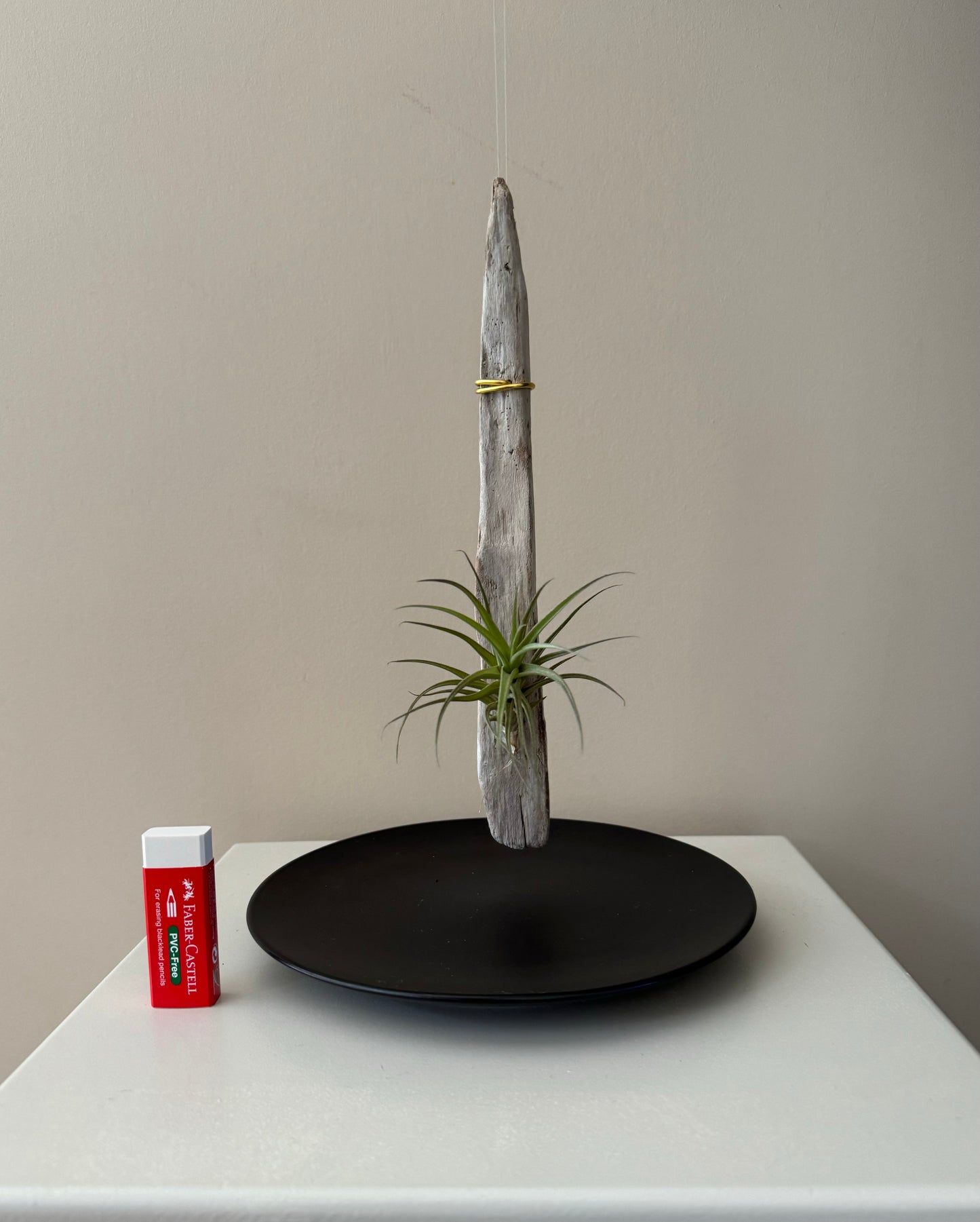 Driftwood & Air Plant 7