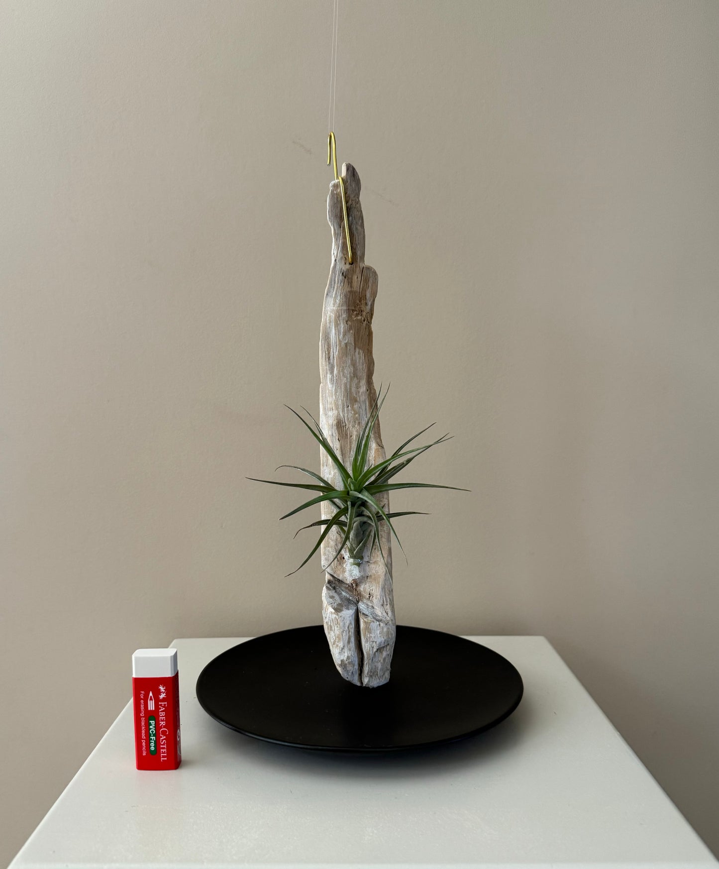 Driftwood & Air Plant 8