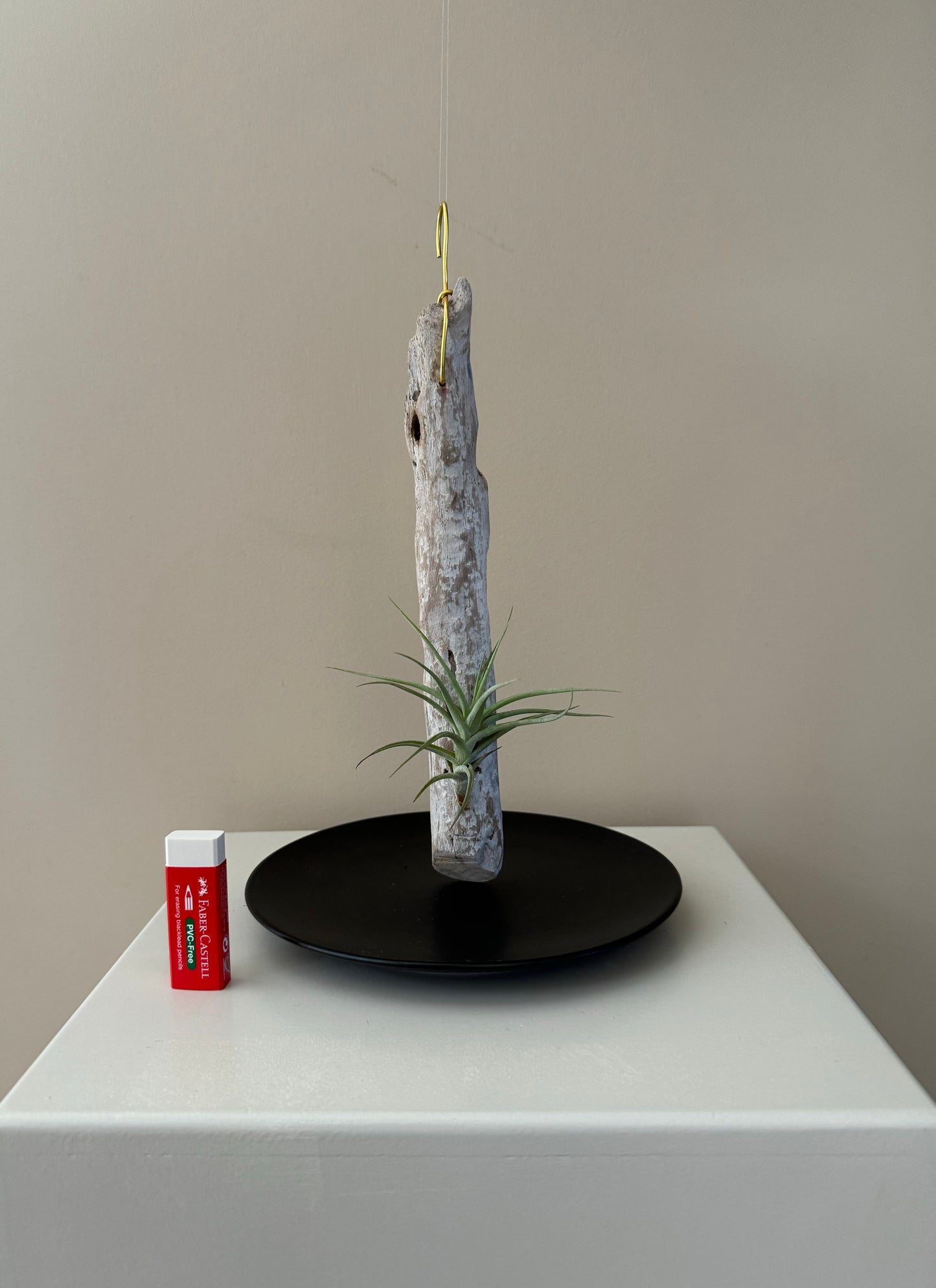 Driftwood & Air Plant 9