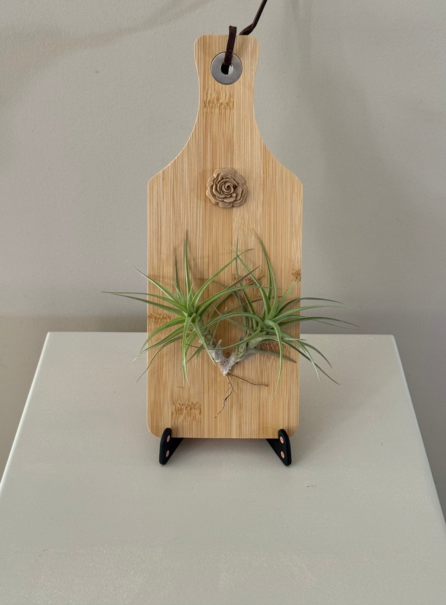 Airplant and rosette