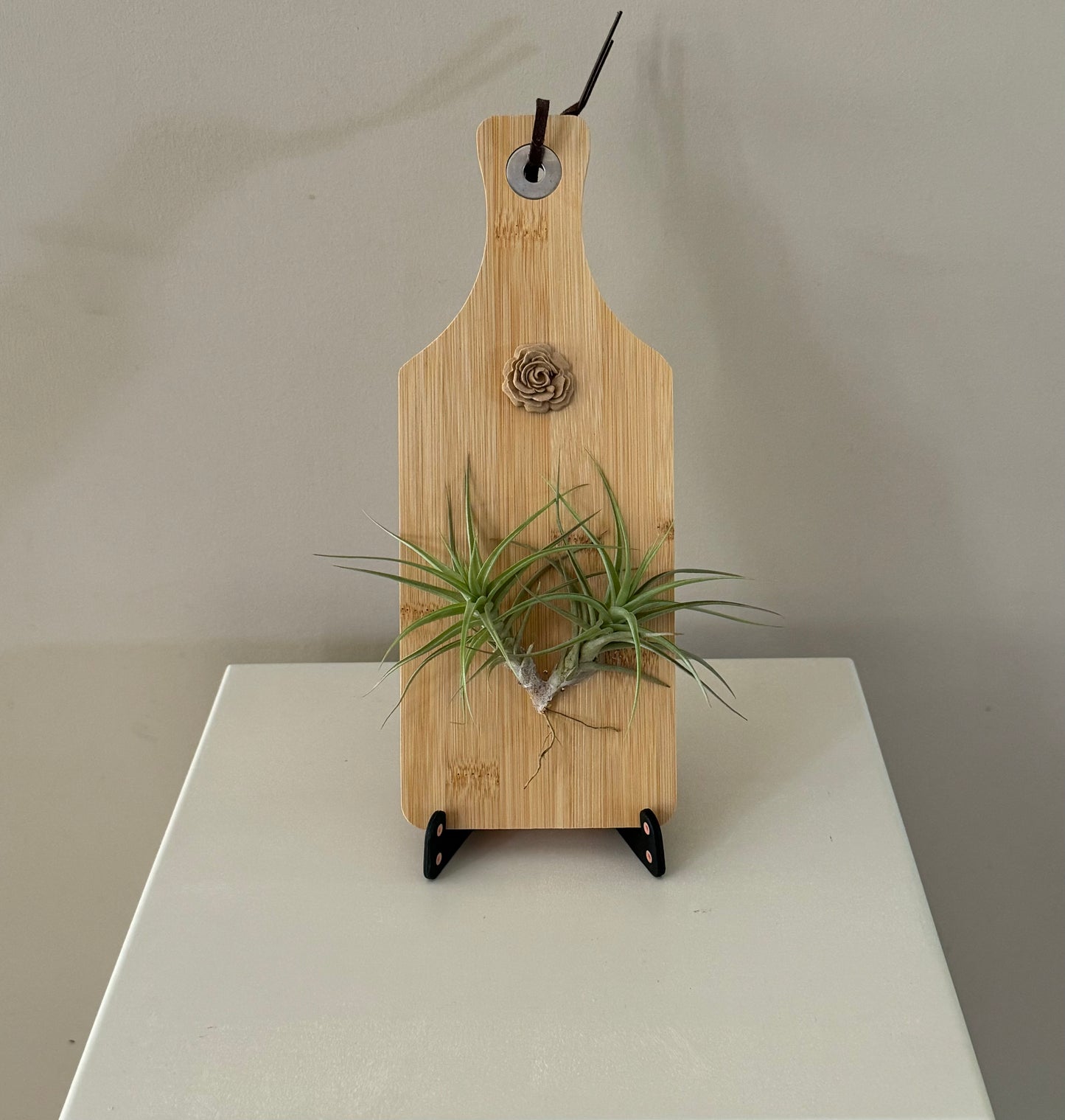 Airplant and rosette