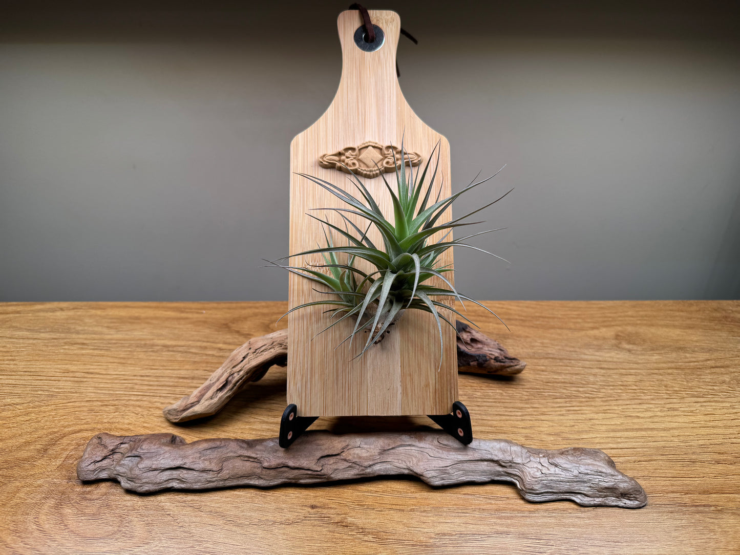 Airplant and diamond