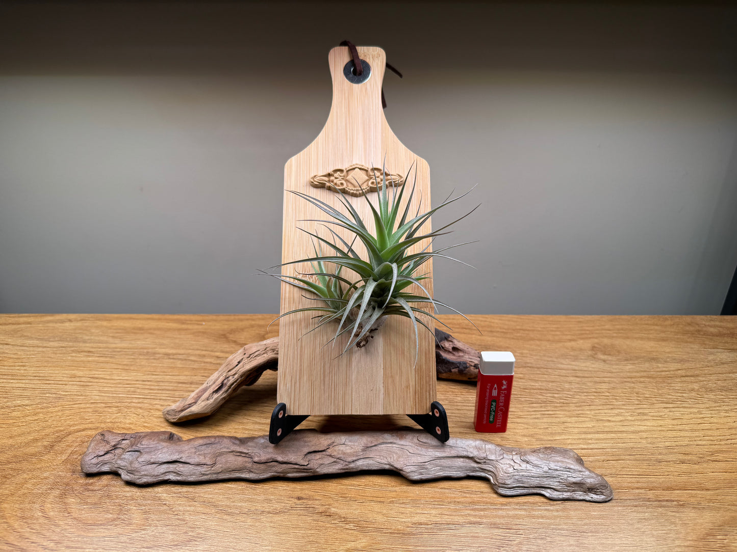 Airplant and diamond