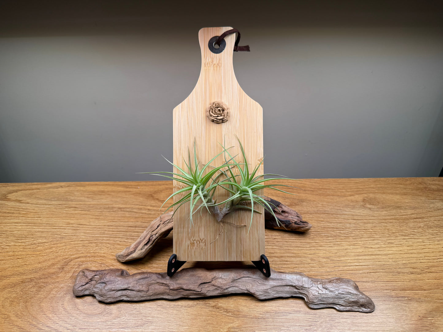 Airplant and rosette