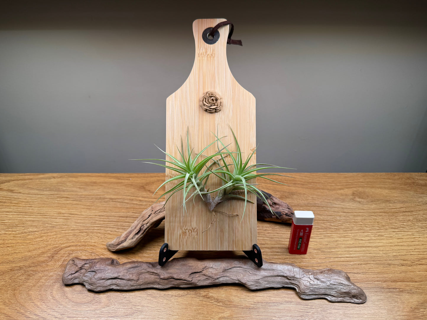 Airplant and rosette