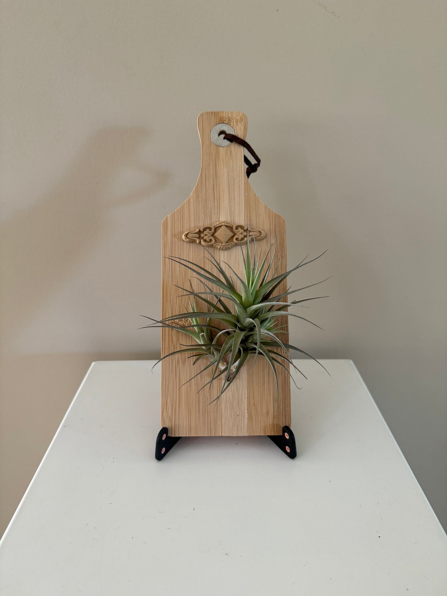Airplant and diamond