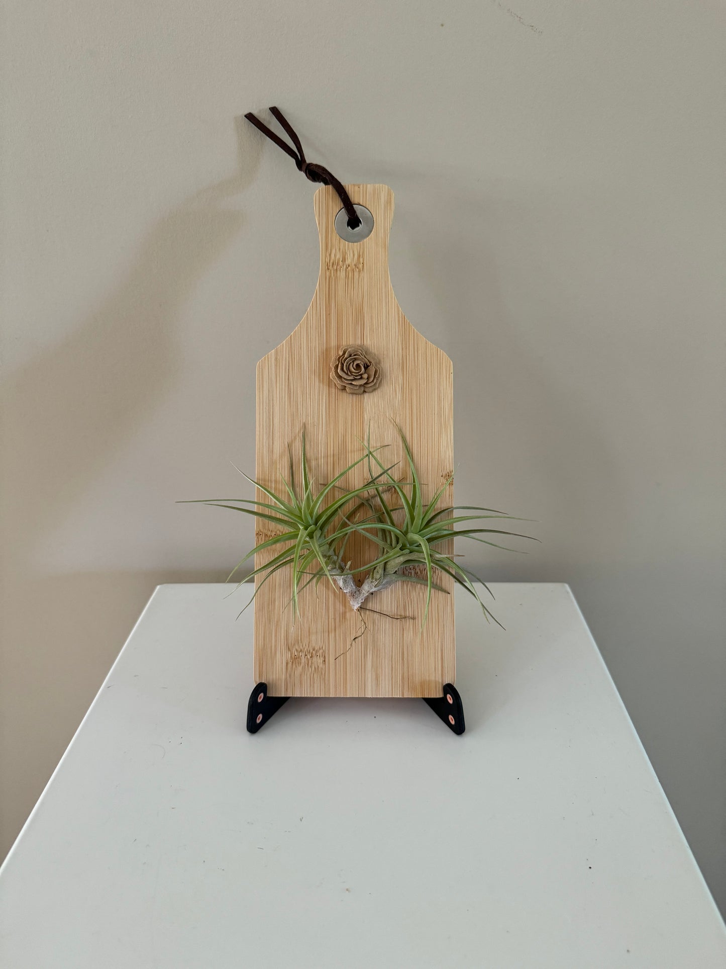 Airplant and rosette