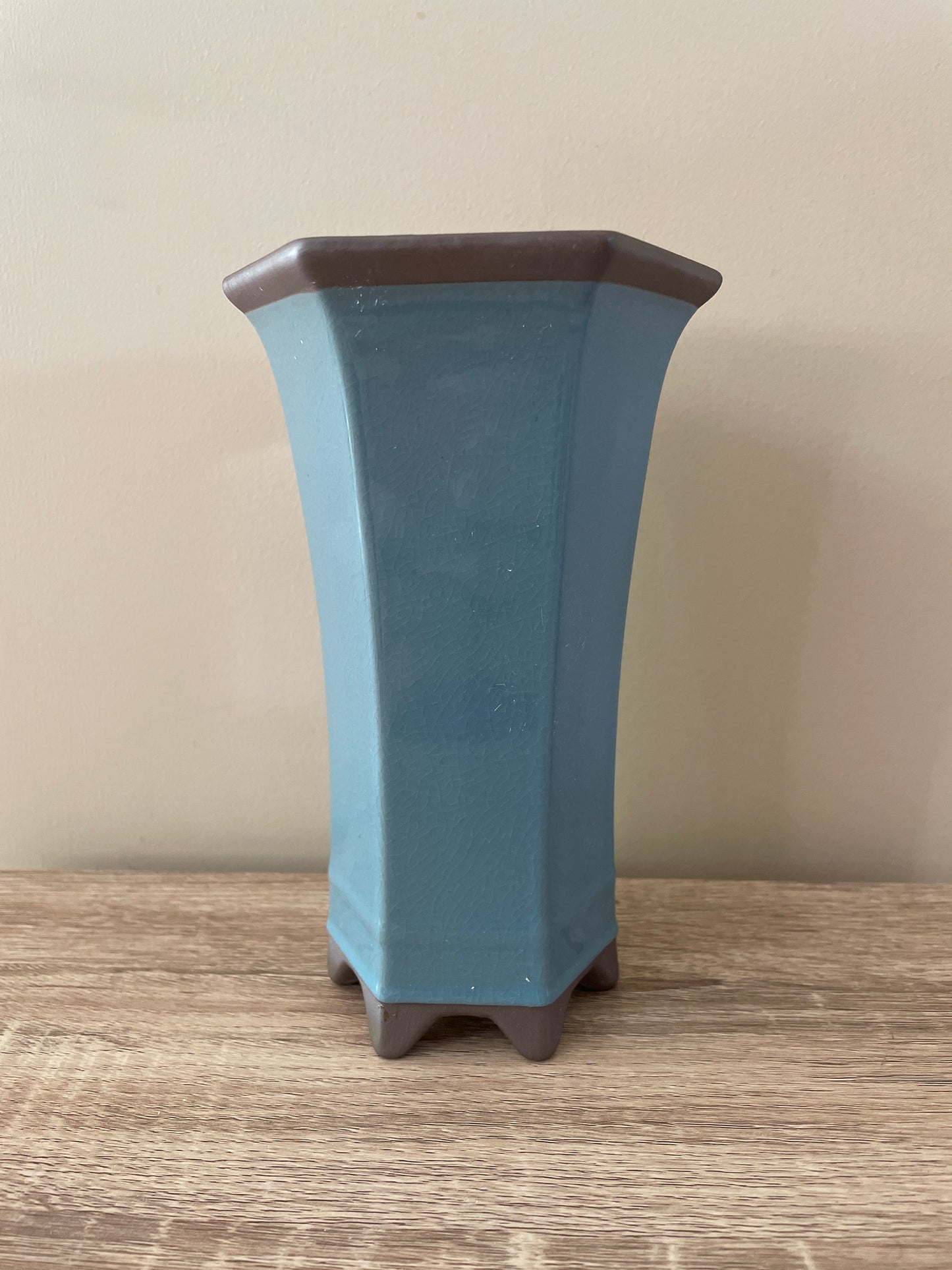 blue hexagon pottery vase pot plant