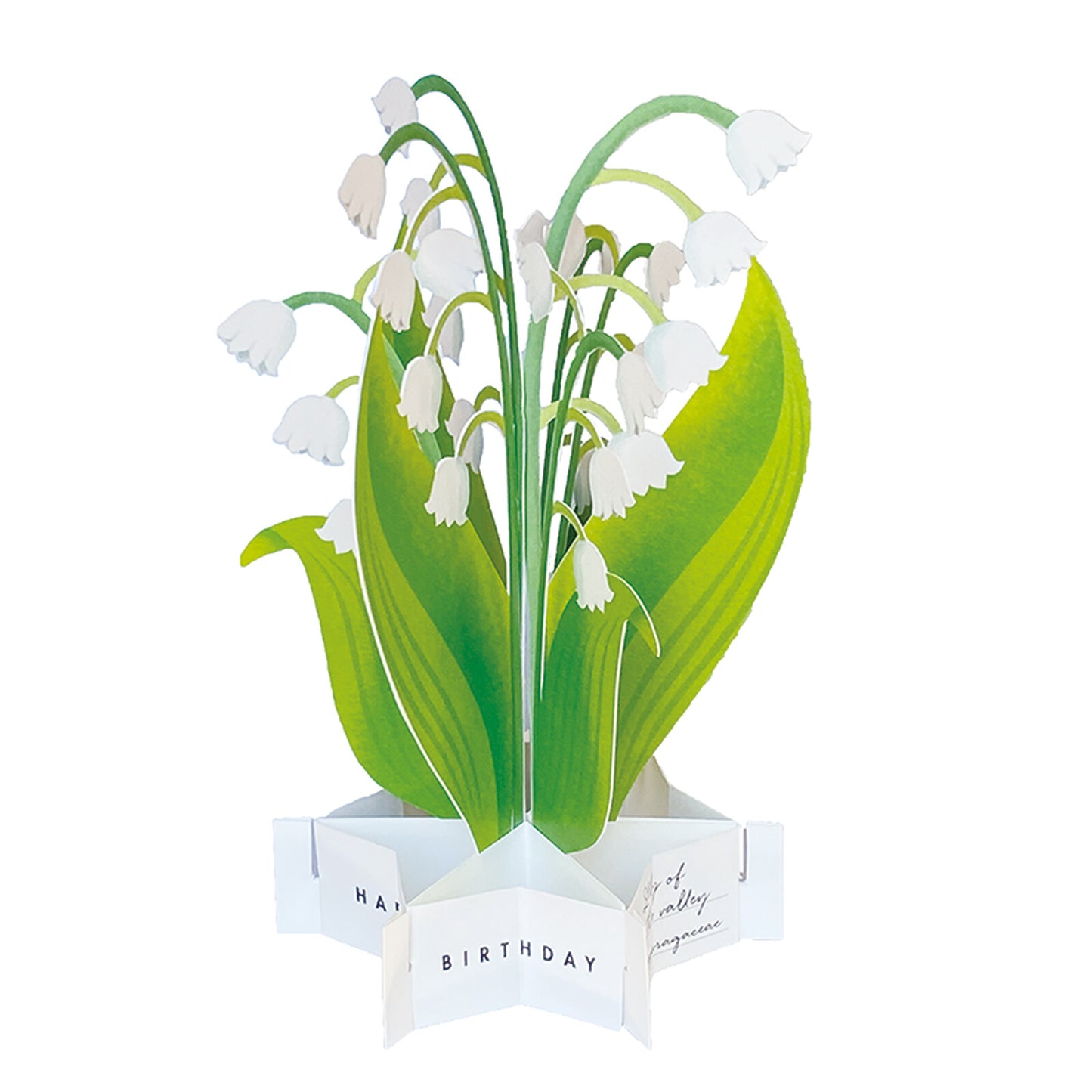 lily of the valley pop up greeting card nz