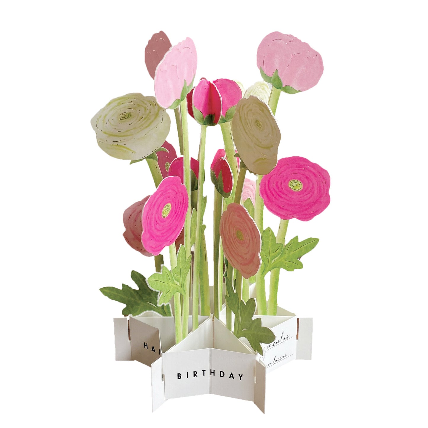 runinculus pop up greeting card nz