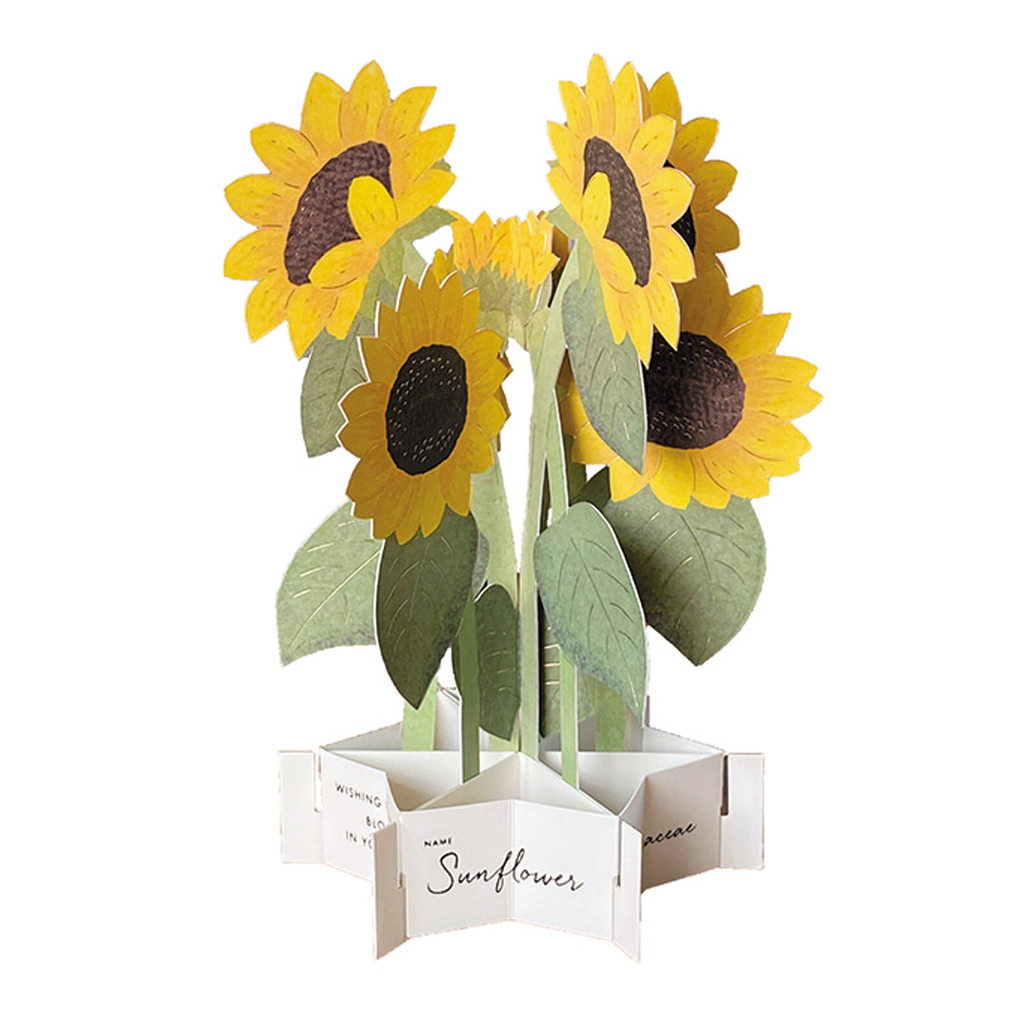 sunflowers pop up greeting card nz