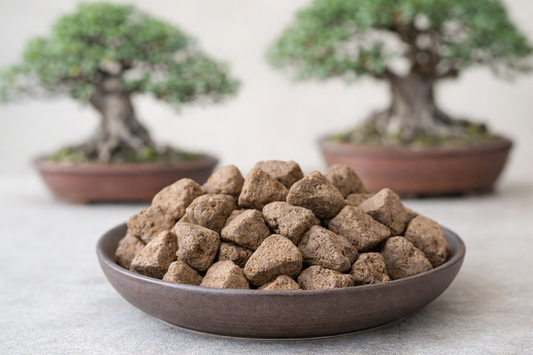 The Best Fertiliser for Bonsai, Biogold Original and More.