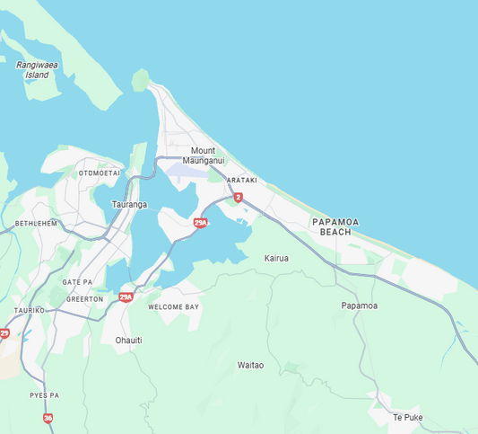 Buying a Bonsai Online? Here are our Delivery Areas.