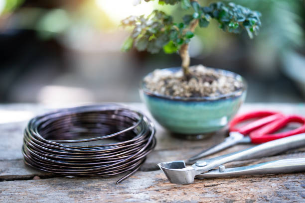 Aluminum Bonsai Wire