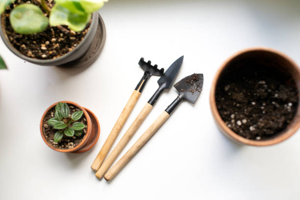 Toolszen Zen Garden Tools – Saikei Zen