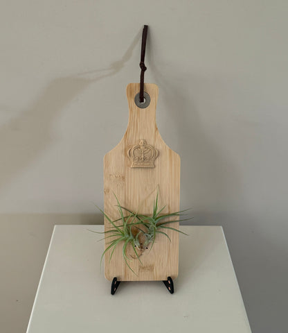 Airplant and crown
