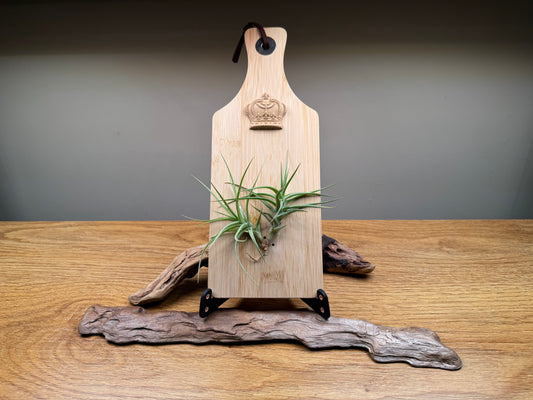 Airplant and crown