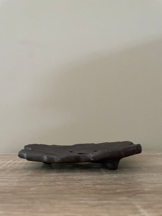 bark ramekin tray for plants