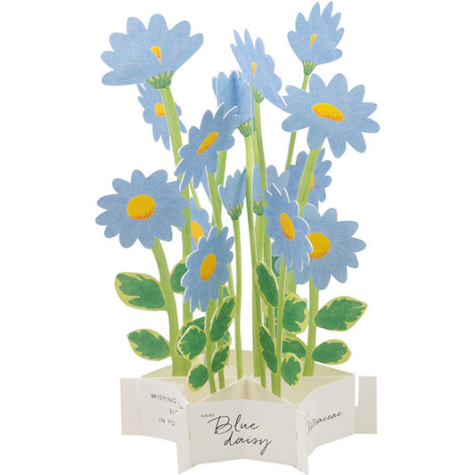 blue daisy pop up greeting card nz
