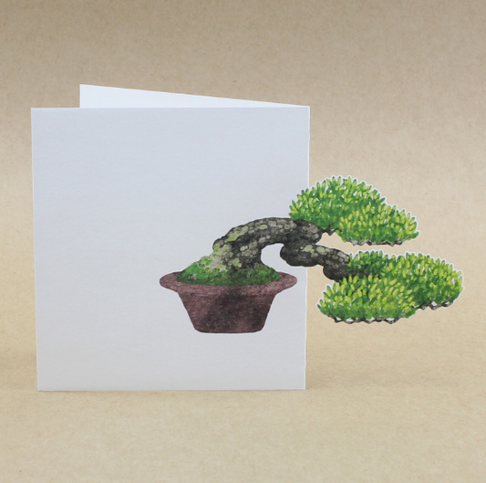 foldable bonsai note card buy online