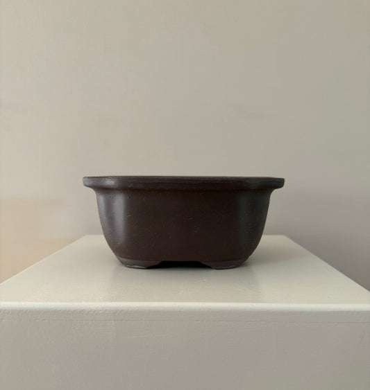Dark seto yaki pot for small plants and bonsai