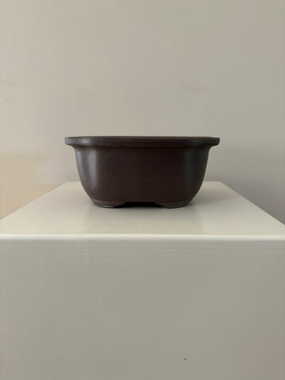 Seto Yaki pot for bonsai and small pots dark