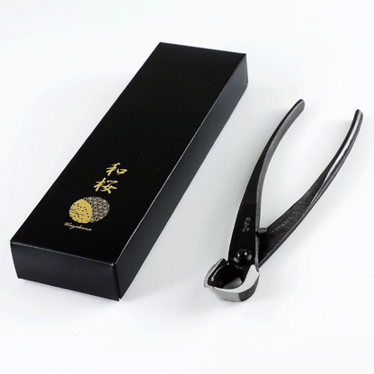 Wazakura carbon steel bonsai concave branch cutter beside its presentation box