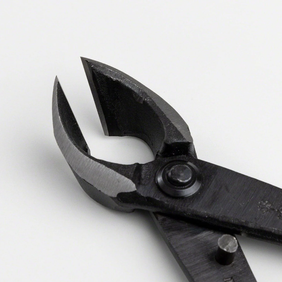 Close-up of Wazakura carbon steel concave branch cutter jaws for bonsai pruning