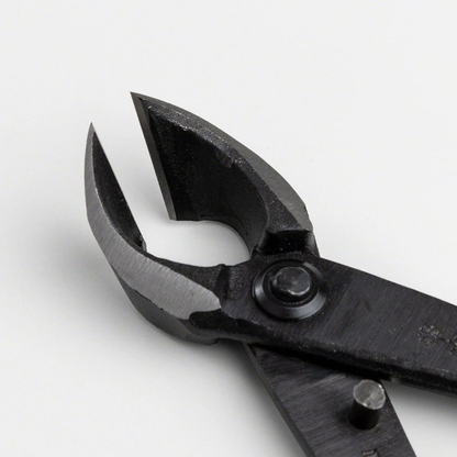 Close-up of Wazakura carbon steel concave branch cutter jaws for bonsai pruning