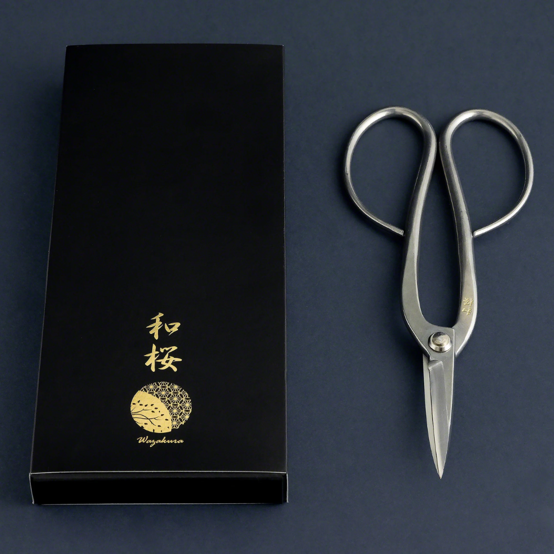 Wazakura Yasugi steel long-handled bonsai scissors beside their presentation box