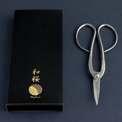 Wazakura Yasugi steel long-handled bonsai scissors beside their presentation box