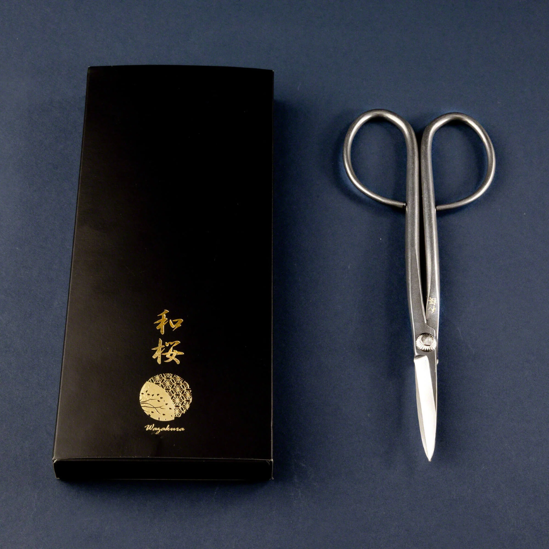 Wazakura Yasugi steel bonsai scissors beside their presentation box